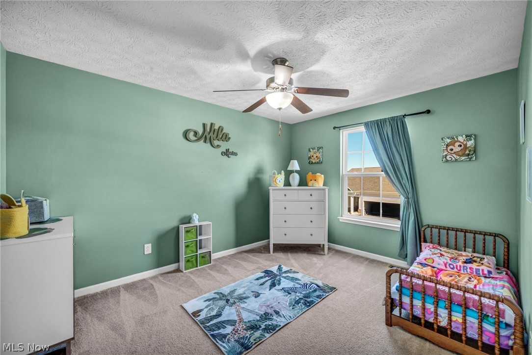 6530 Wisteria Lane Medina OH 44256