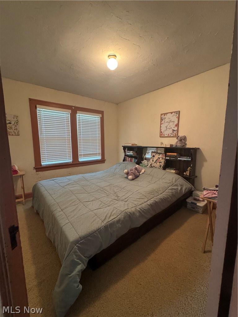 134 Ravenna Street Hudson OH 44236