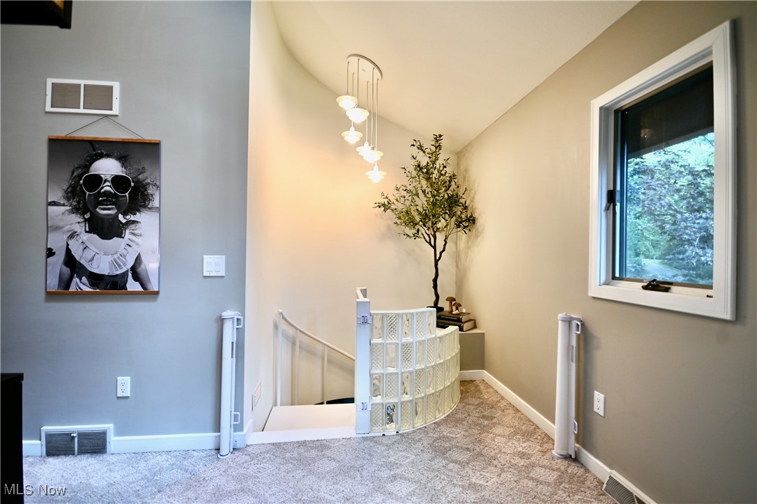 7348 S Raccoon Road Canfield OH 44406