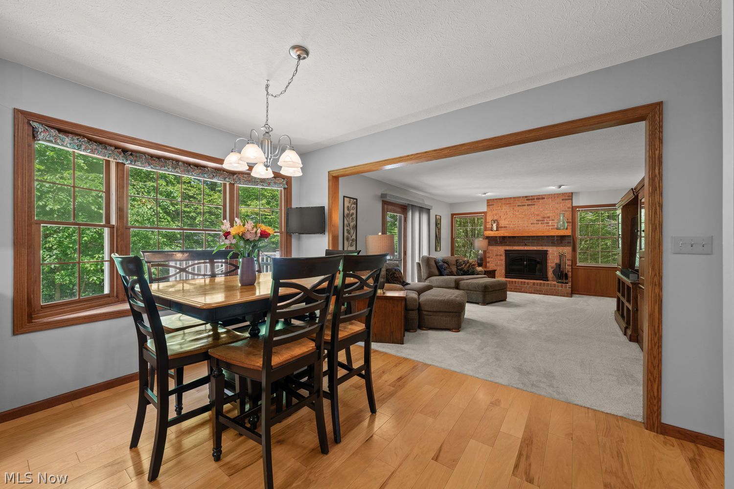 7974 Princewood Drive Hudson OH 44236