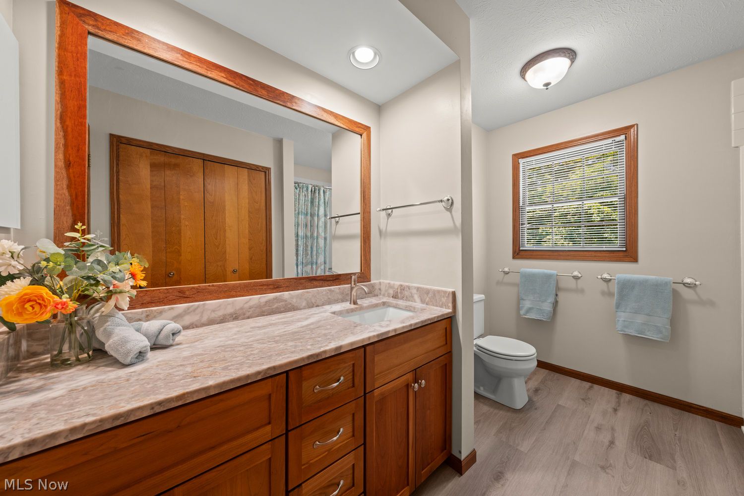 7974 Princewood Drive Hudson OH 44236