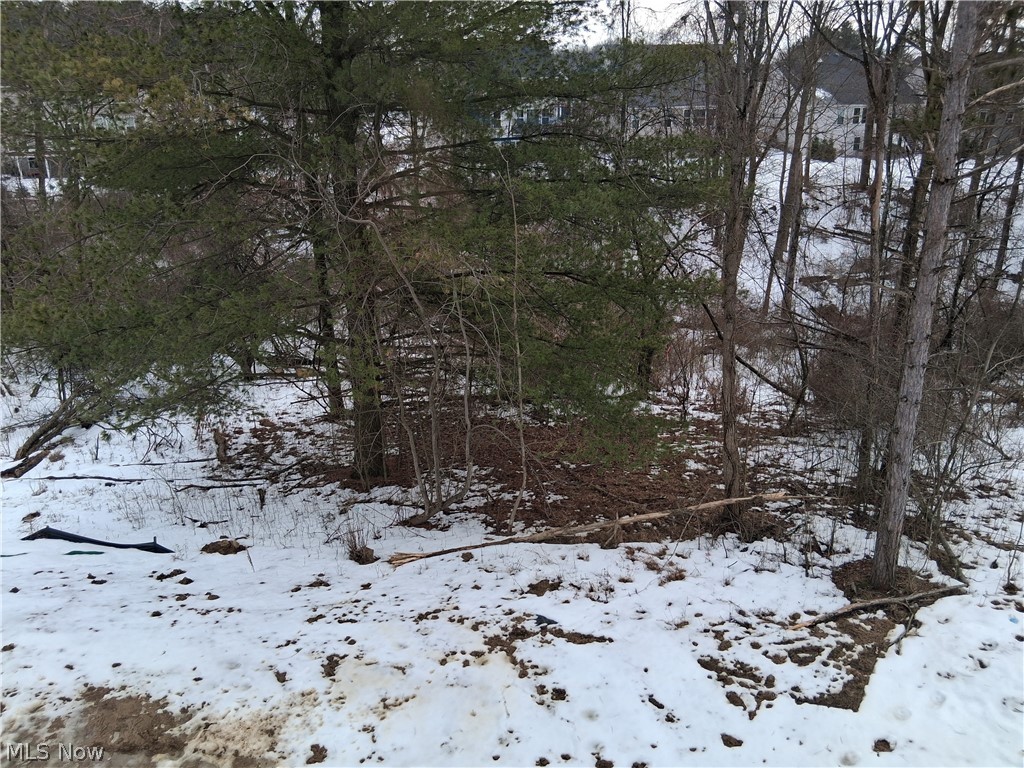 2790 Grayson Drive Medina OH 44256