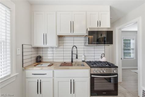 21050 Goller Avenue Euclid OH 44119