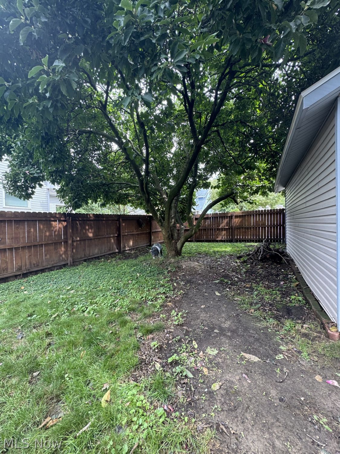 515 N Firestone Boulevard Akron OH 44301