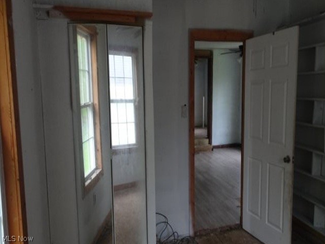 517 Dewitt Street Lorain OH 44055