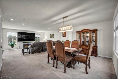 535 Cherrywood Lane Painesville OH 44077