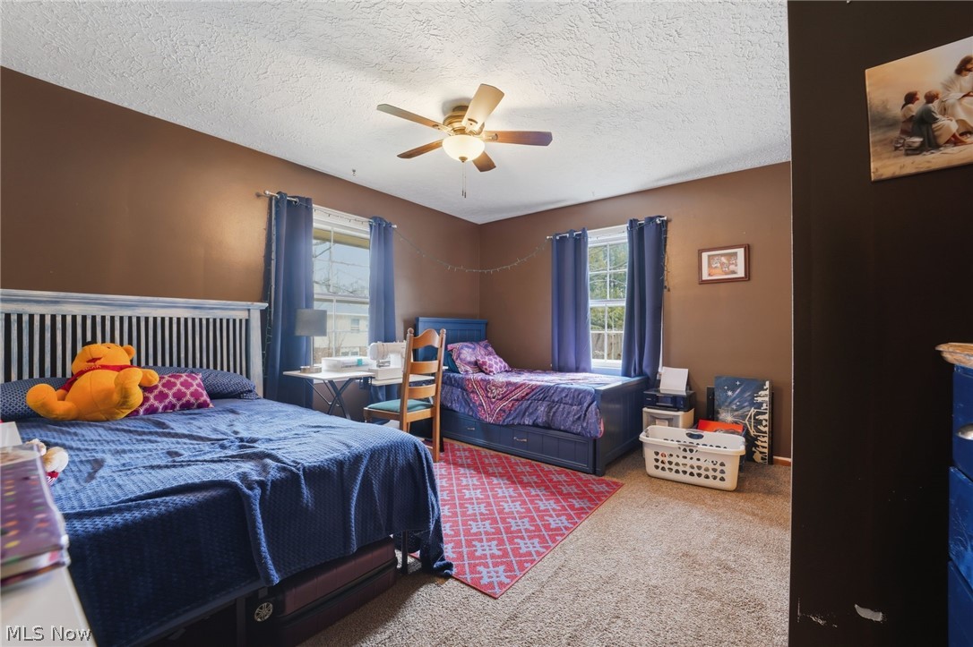 6424 Walrath Circle Ashtabula OH 44004