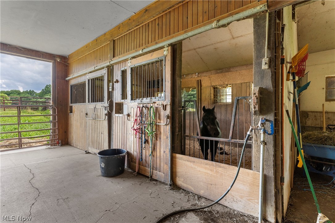 4114 S Raccoon Road Canfield OH 44406
