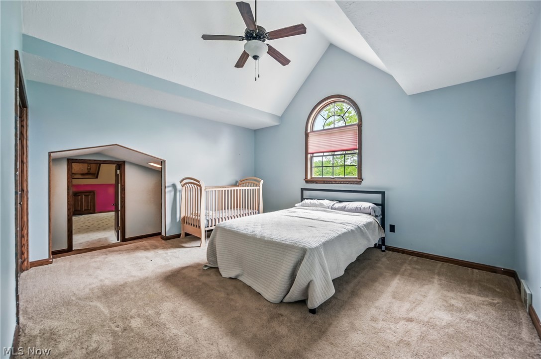 4114 S Raccoon Road Canfield OH 44406
