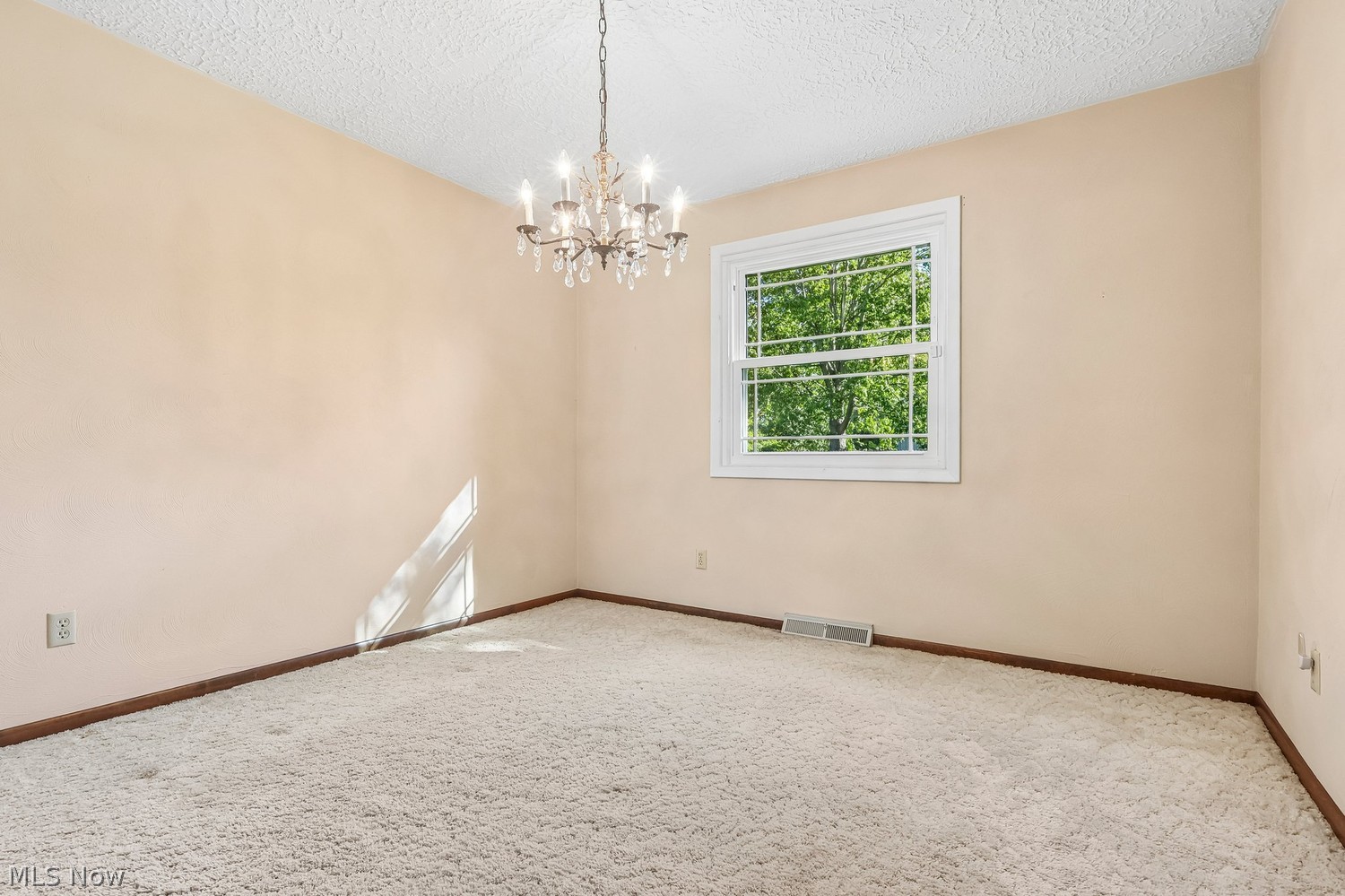 4419 Edgewood Drive Lorain OH 44053