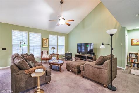 572 Colonial Drive Painesville OH 44077