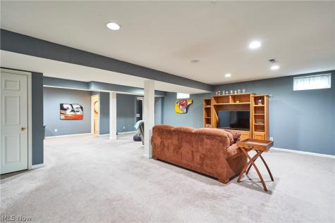 572 Colonial Drive Painesville OH 44077