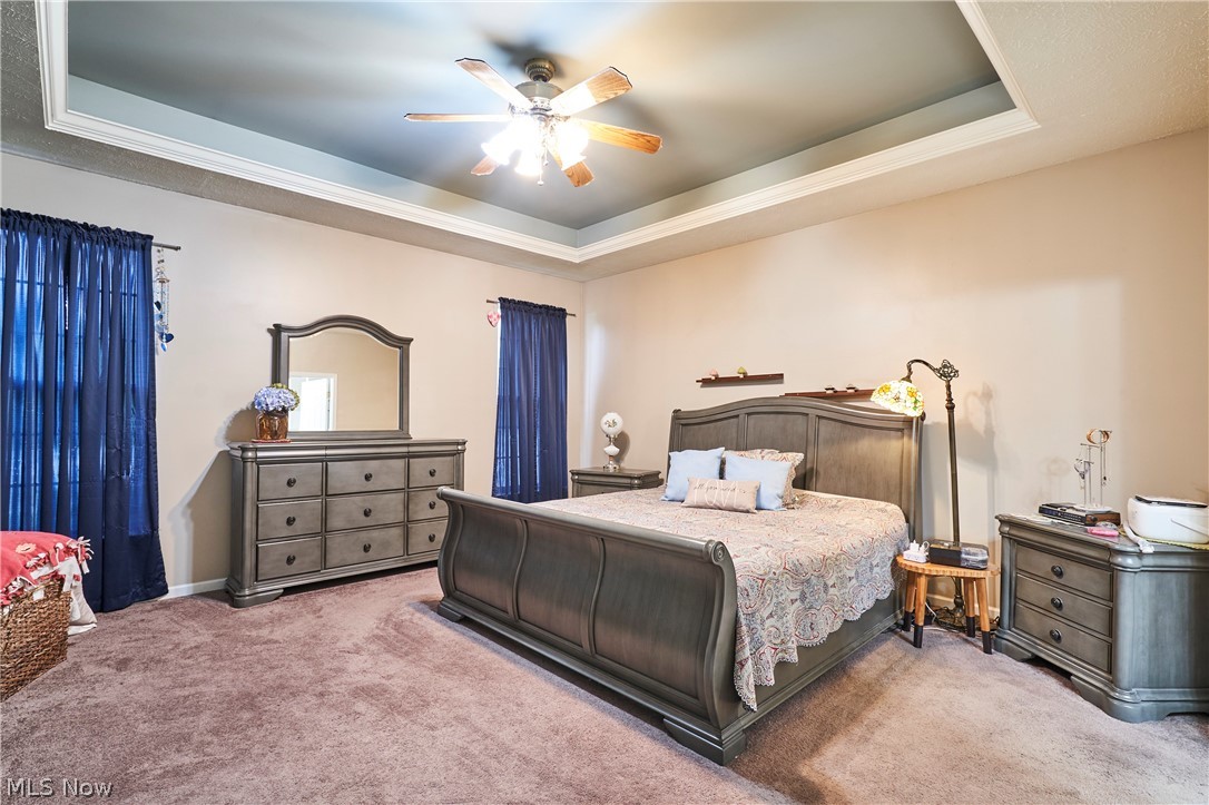 572 Colonial Drive Painesville OH 44077
