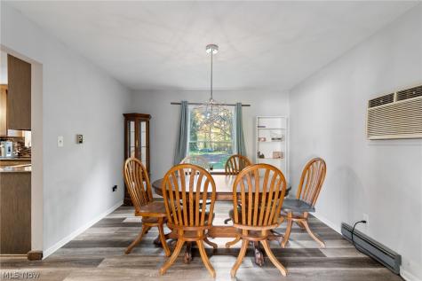 1917 Thorpe Circle Brunswick OH 44212