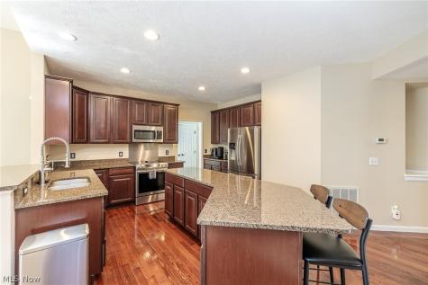 9011 Moss Pointe Circle Olmsted Twp OH 44138