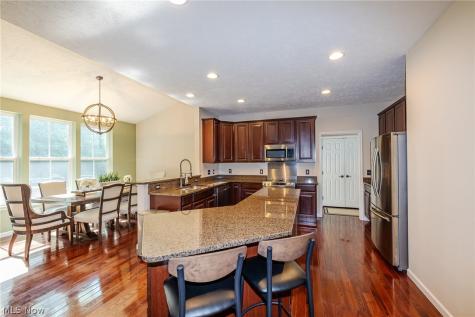 9011 Moss Pointe Circle Olmsted Twp OH 44138