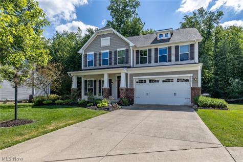 9011 Moss Pointe Circle Olmsted Twp OH 44138