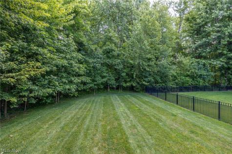 9011 Moss Pointe Circle Olmsted Twp OH 44138
