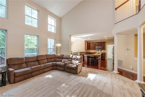 9011 Moss Pointe Circle Olmsted Twp OH 44138