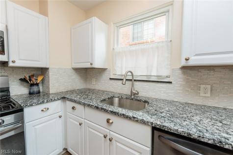 1465 Bunts Road Lakewood OH 44107