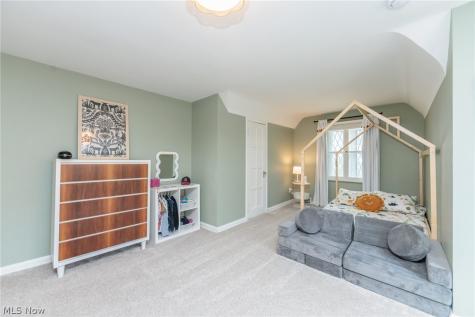 1465 Bunts Road Lakewood OH 44107