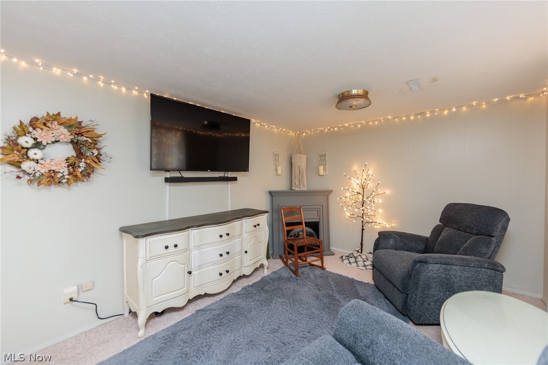 5029 Oakview Drive Vermilion OH 44089