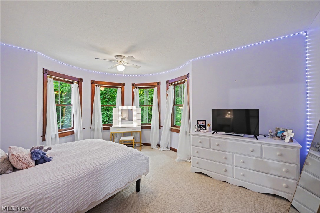 8851 Spring Valley Drive Broadview Heights OH 44147