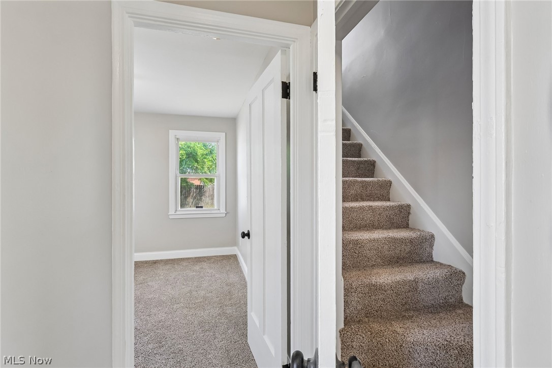 20831 Naumann Avenue Euclid OH 44123