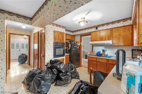 16002 Colletta Lane Cleveland OH 44111