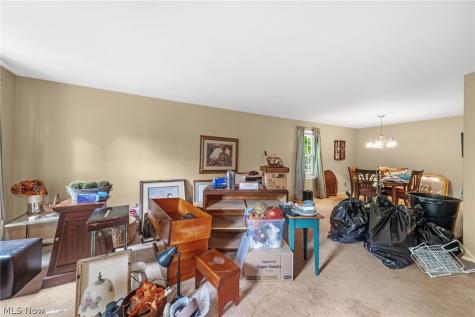 16002 Colletta Lane Cleveland OH 44111