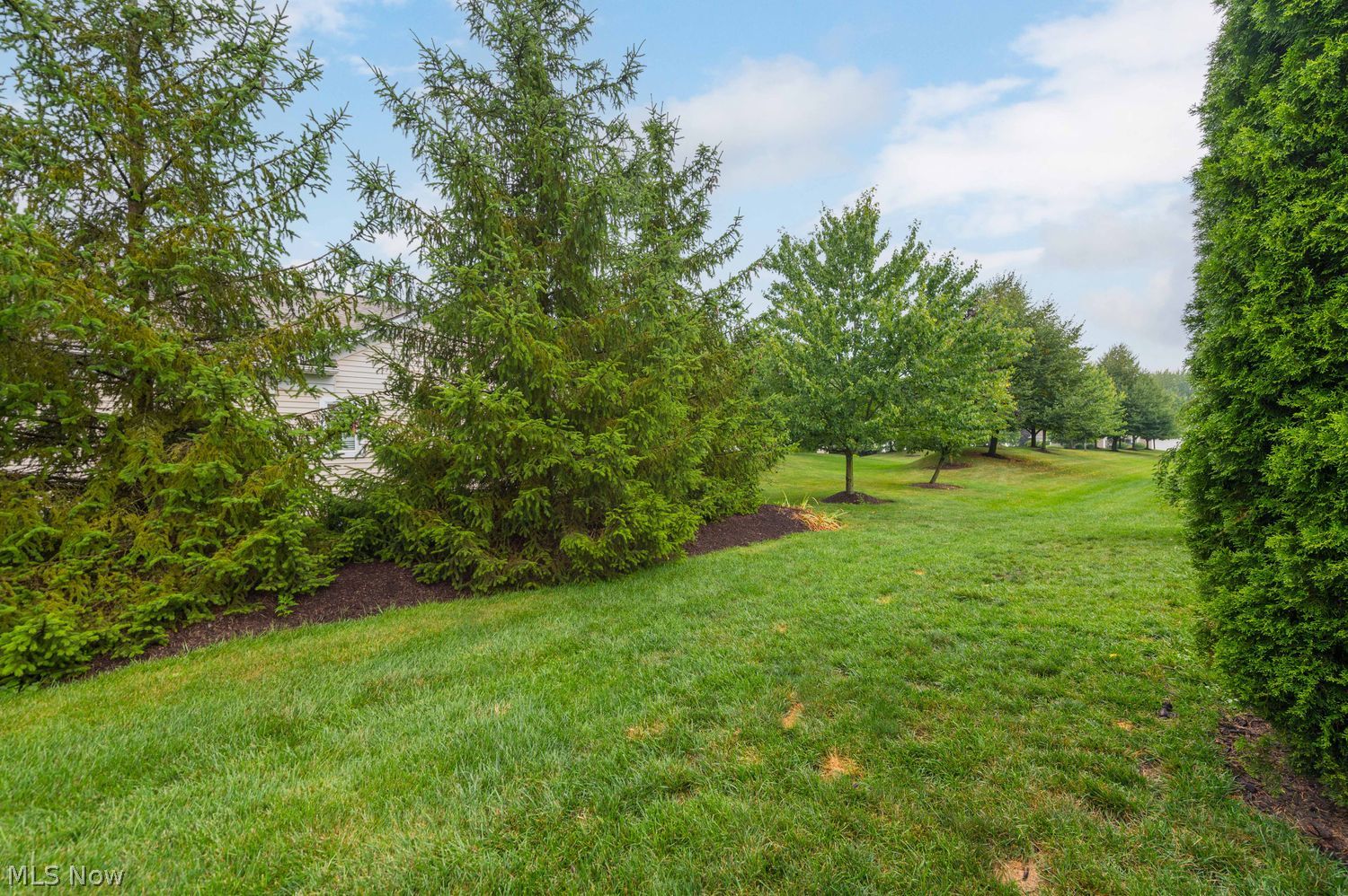 464 Winward Lane Brunswick OH 44212