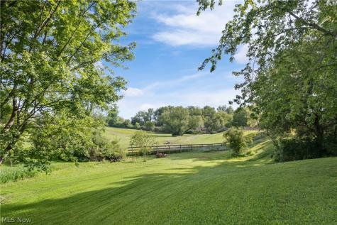 10031 Sanford Road Lodi OH 44254