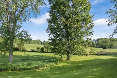 10031 Sanford Road Lodi OH 44254