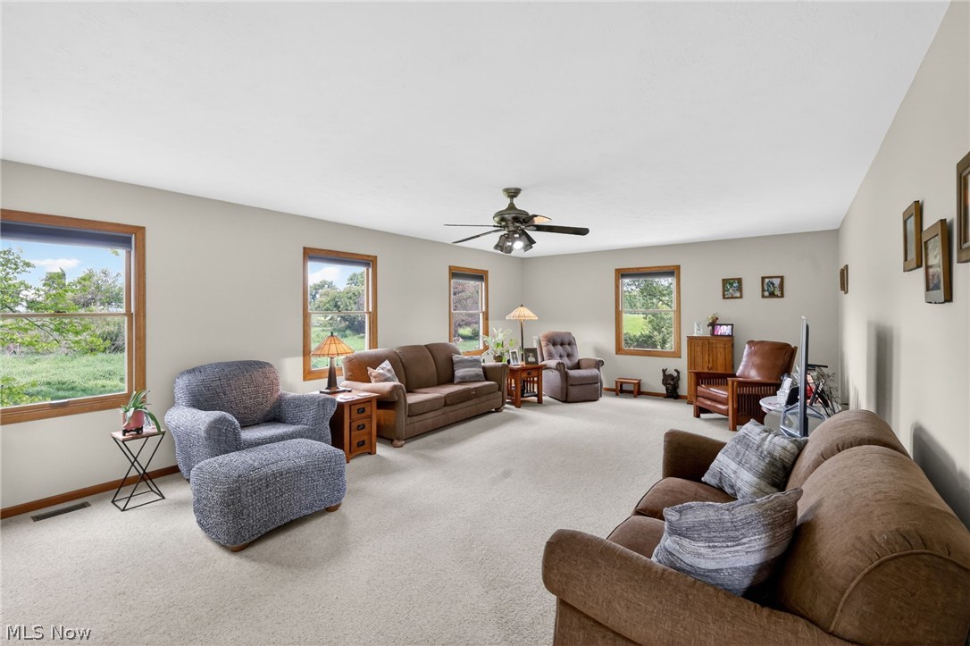 10031 Sanford Road Lodi OH 44254