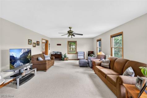 10031 Sanford Road Lodi OH 44254