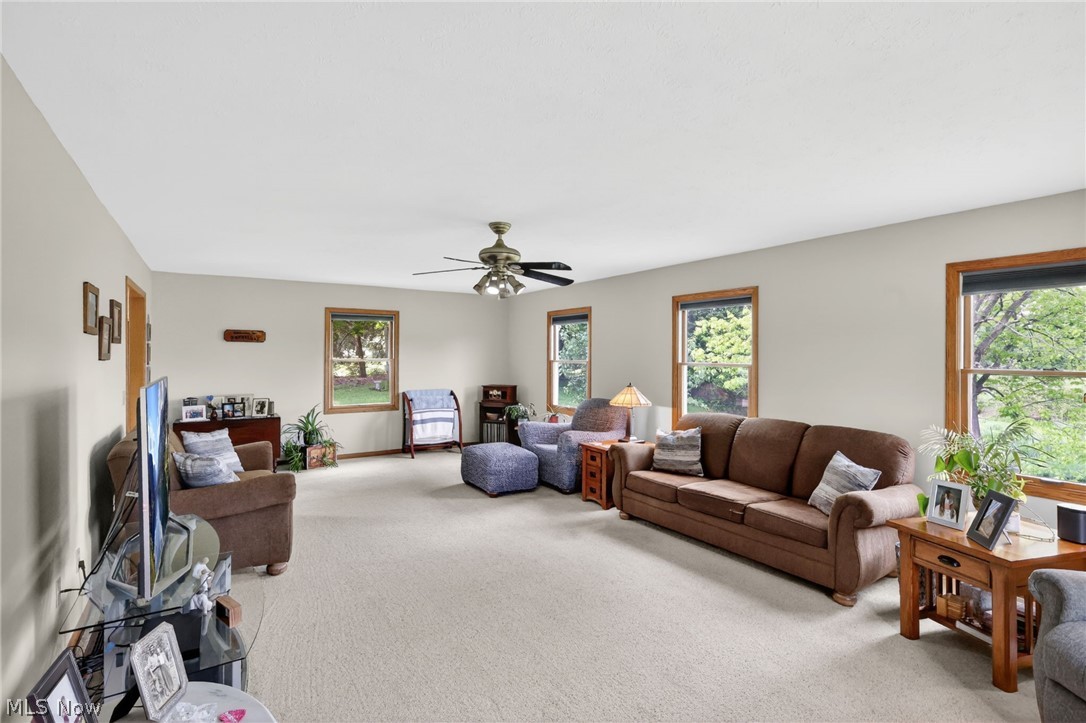 10031 Sanford Road Lodi OH 44254