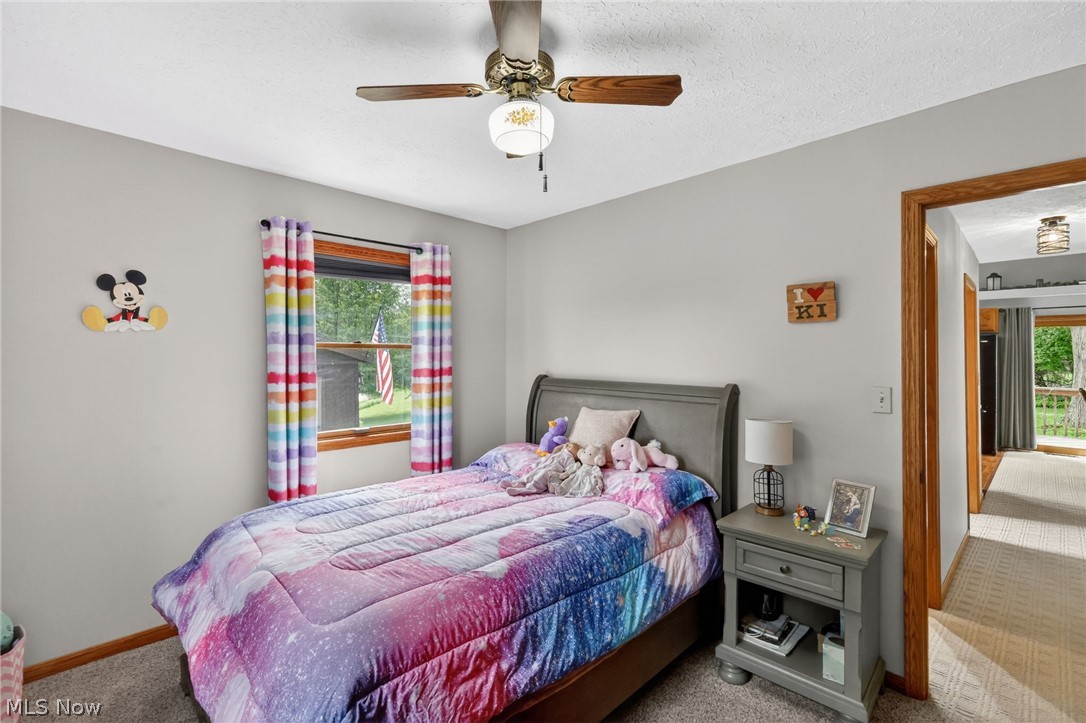 10031 Sanford Road Lodi OH 44254