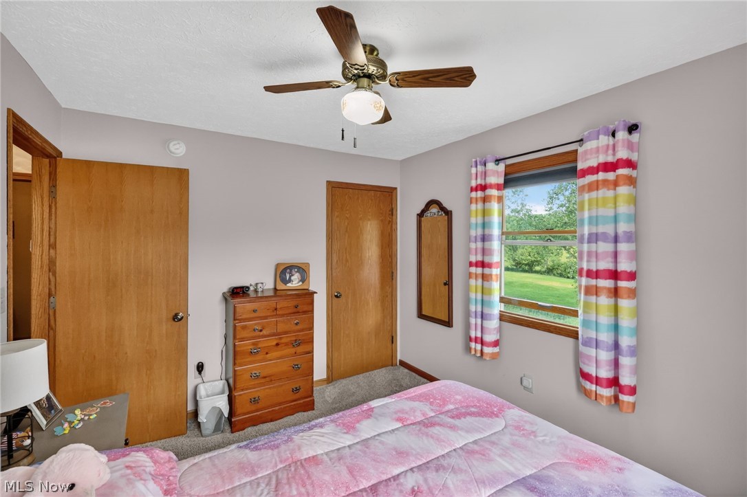 10031 Sanford Road Lodi OH 44254