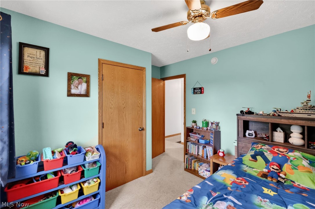 10031 Sanford Road Lodi OH 44254