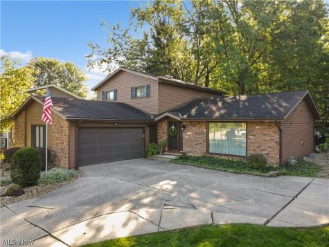 3862 Skyview Drive Brunswick OH 44212