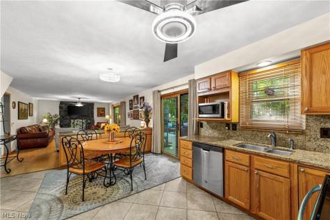 3862 Skyview Drive Brunswick OH 44212