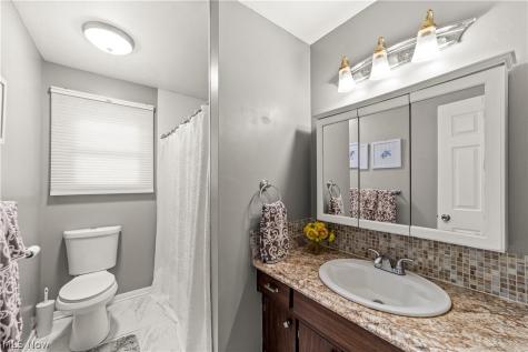 3862 Skyview Drive Brunswick OH 44212