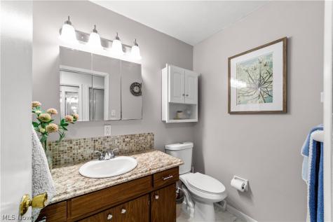 3862 Skyview Drive Brunswick OH 44212