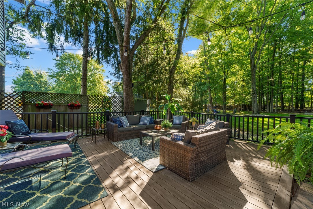 3862 Skyview Drive Brunswick OH 44212