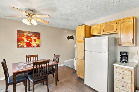 3704 N Viona Drive Akron OH 44319