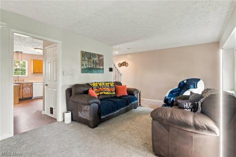 3704 N Viona Drive Akron OH 44319