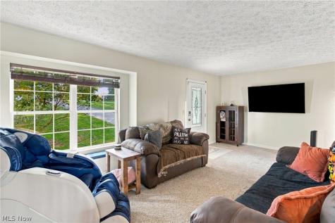 3704 N Viona Drive Akron OH 44319