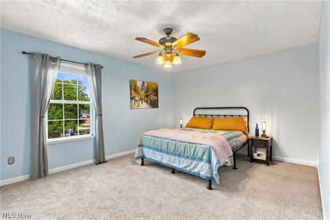 3704 N Viona Drive Akron OH 44319