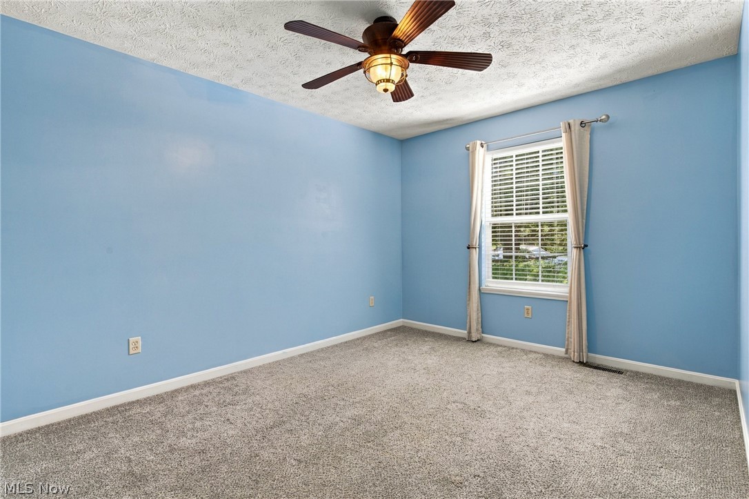 3704 N Viona Drive Akron OH 44319