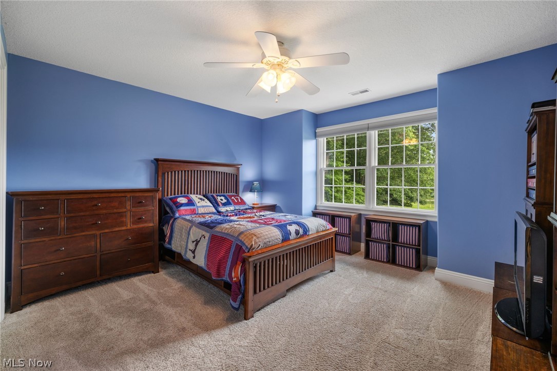 41340 Spring Hill Road Leetonia OH 44431